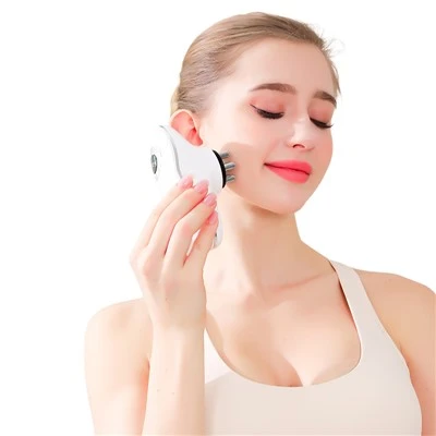 Masseur de beauté portable